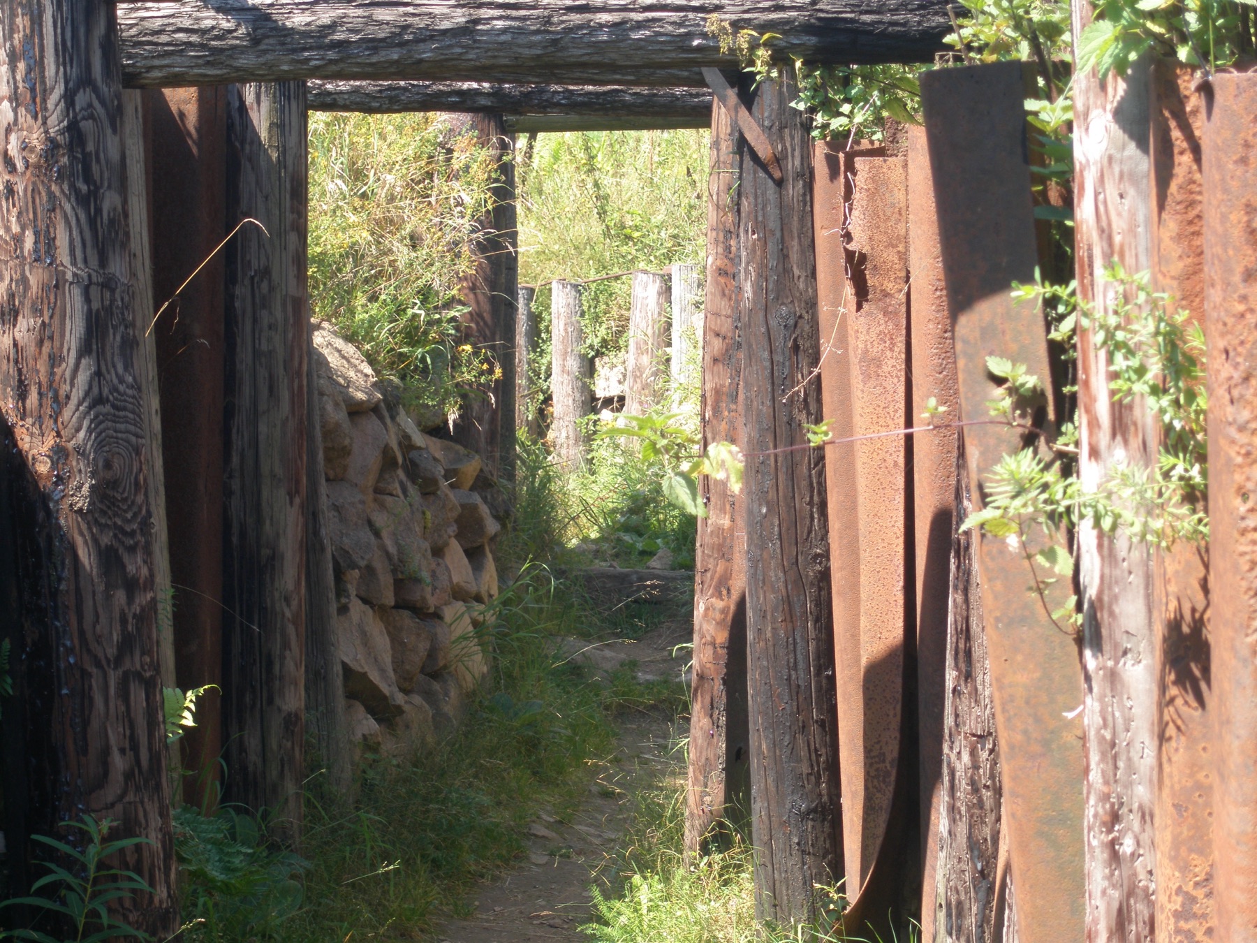 Tranchée du Hartmannswillerkopf entretenue par les bénévoles
